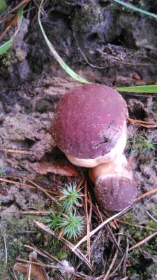 Прикрепленное изображение: DSC_0058_New3.jpg